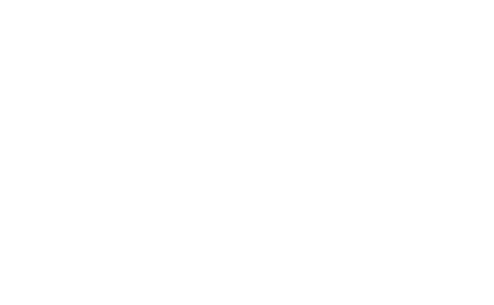 Wulffhaus Press